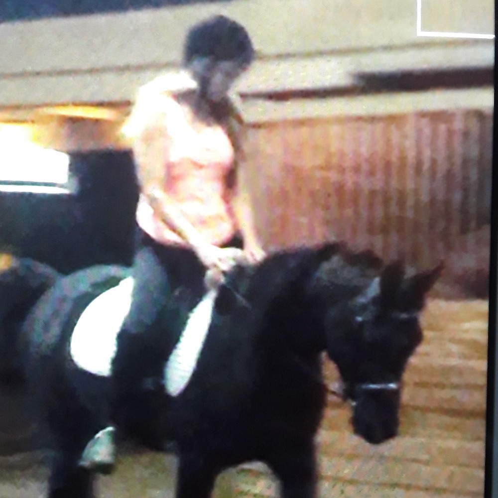 Meet your Posher, Carol